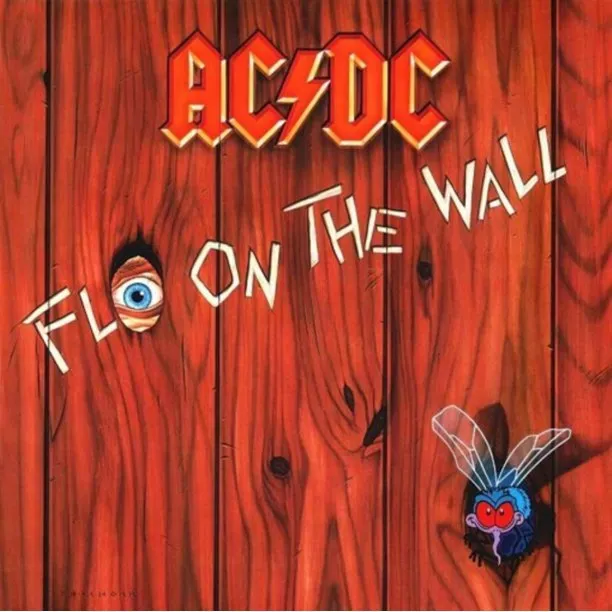 AC/DC Fly On The Wall