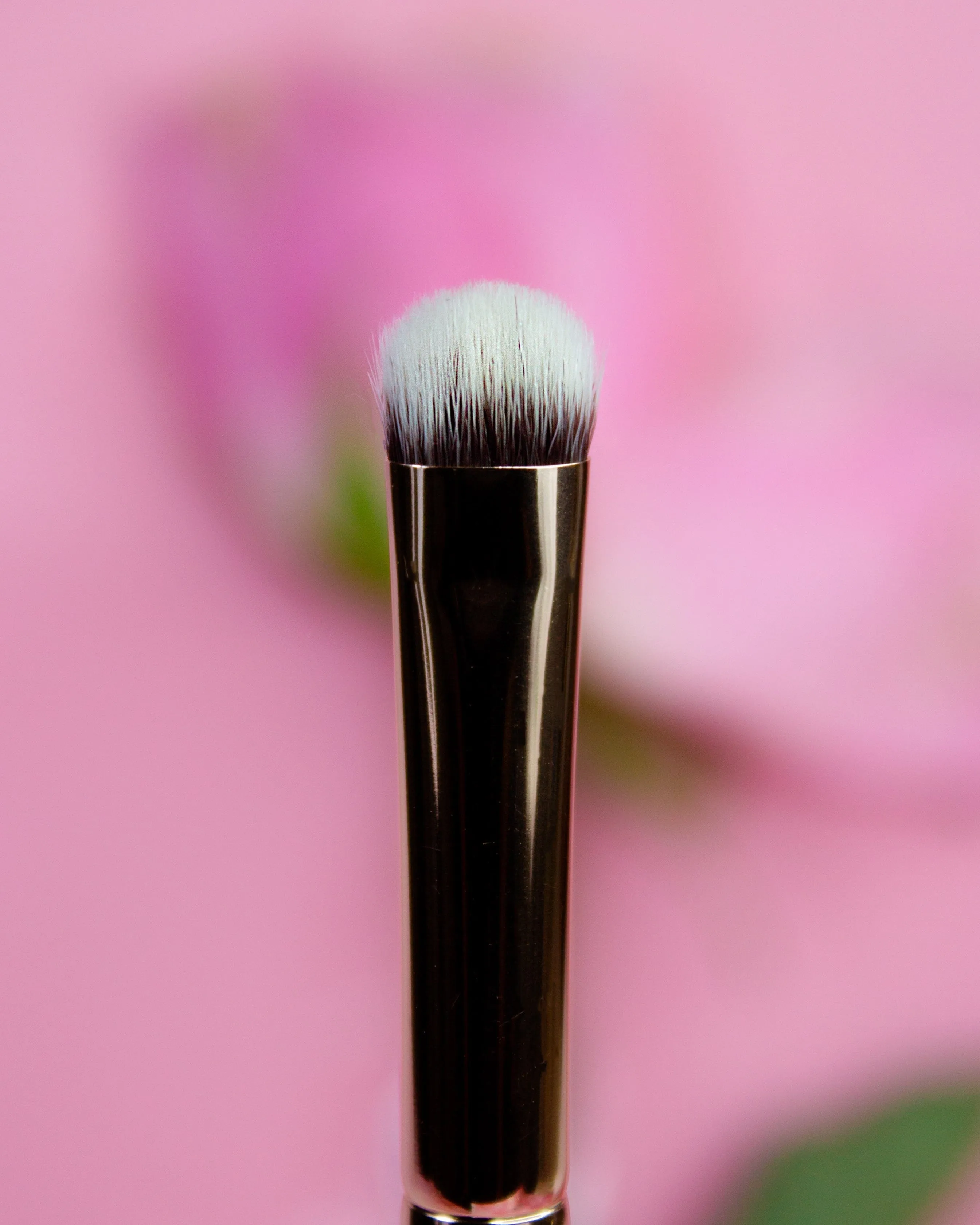 Essential Makeup Brushes